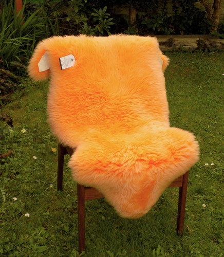 Large light orange 100 - large, 100%