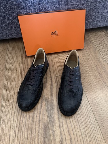 Hermes niloticus crocodile - hermes,