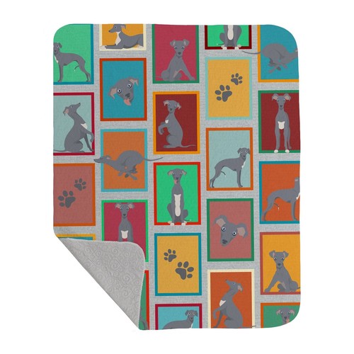 Lots italian greyhound - of,