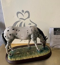 ROYAL DOULTON HORSE THE APPALOOSA No RDA 32  SPOTTY GLOSS  PERFECT BOXED