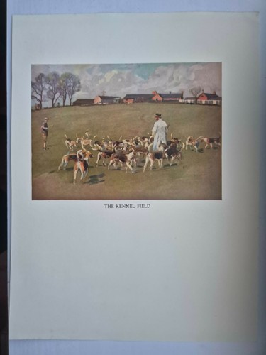 Antique coloured fox - coloured, hunting