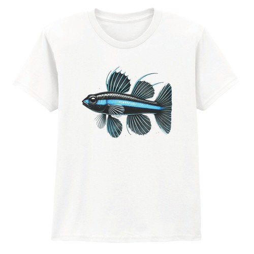 Funny betta fish - funny,