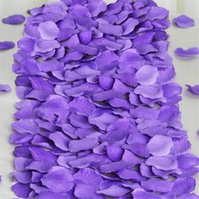 TtS 100-2000 Silk Rose Petals
