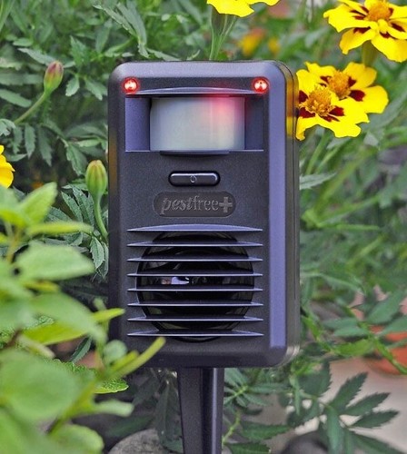 Pestfree ultrasonic sonic - +,