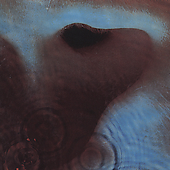 Pink floyd meddle cd - pink,