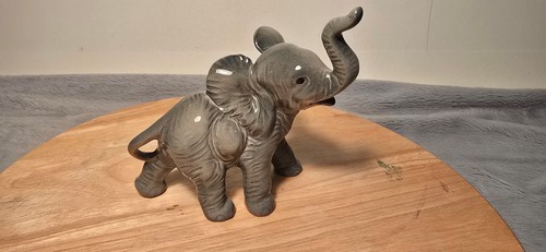 Elephant cute cortendorf - elephant,
