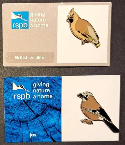 Rare rspb jay pin - rspb, badge