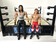WWE Shawn Michaels & Diesel