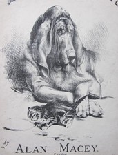 1897? Dignity Gavotte Victorian Music Sheet Dog Kitten Cat Bloodhound Macey