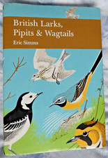 BRITISH LARKS, PIPITS &
