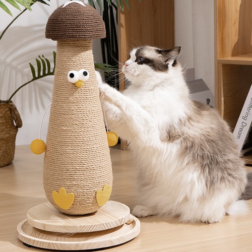 Pet cat scratching post - pet,