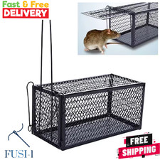 Rat trap mouse - rat, humane