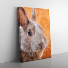 Bunny Rabbit In Colour Canvas