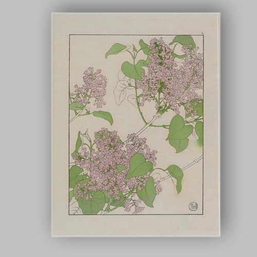 Canvas wall art - wall,