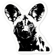 'African Wild dog' Clear