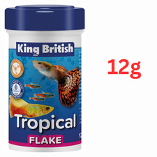 King British Tropical Fish
