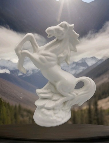White ceramic porcelain - white,