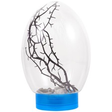  Mini Fish Tank Ecosystem