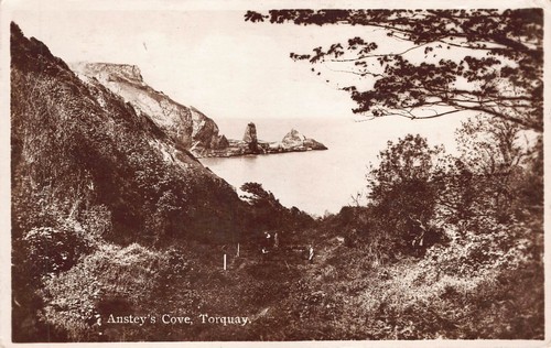 Postcard devon ansteys - postcard,