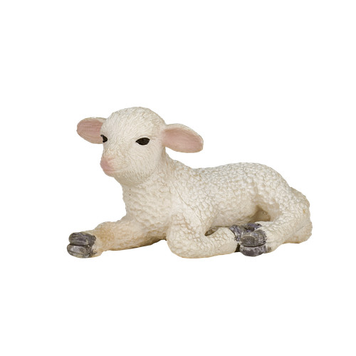 Mojo sheep lamb farm - sheep, animals