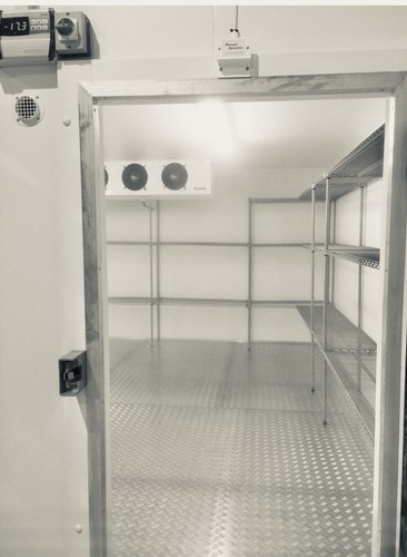 Walk coldroom freezer - in,