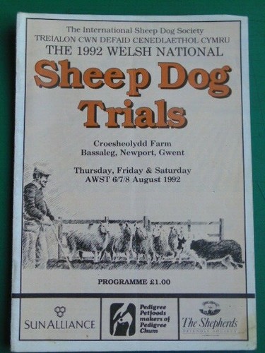 Welsh national sheep dog - welsh,