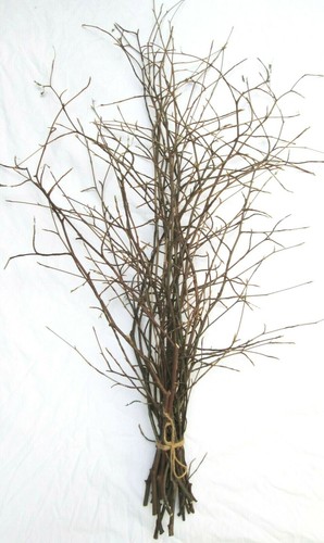 Tall floor natural eco - natural, beech