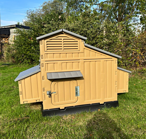 Snap lock outdoor chicken - chicken, home