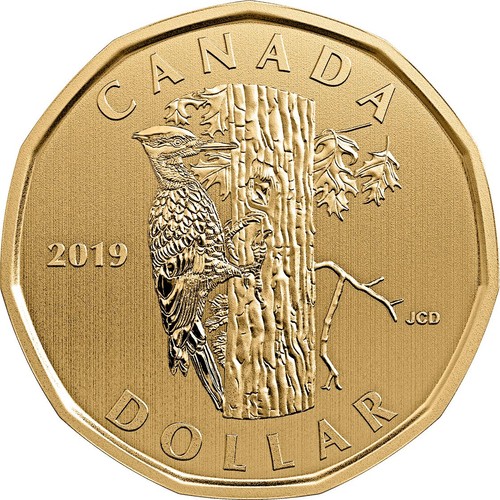 2019 canada loonie pileated - canada,