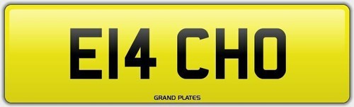Echo noisy sound roar v8 - noisy, v6