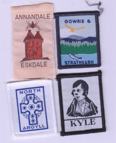 Boy scout badges - boy, ext