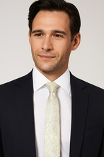 Champagne Mens Tie Gold