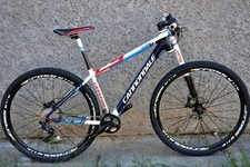 Cannondale Lefty F29 carbon 3