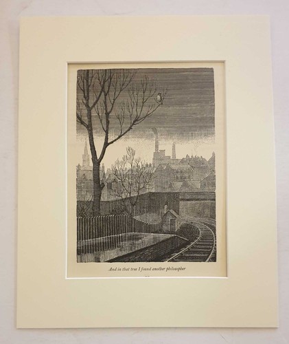 Tunnicliffe another - tunnicliffe, 'another