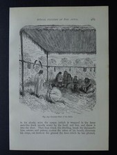 Peru AMAZONIAN ANTIS & SUMMER SHED Original Victorian Print by Figuier c1893