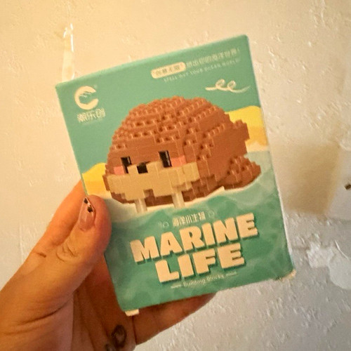 Marine life walrus building - marine,