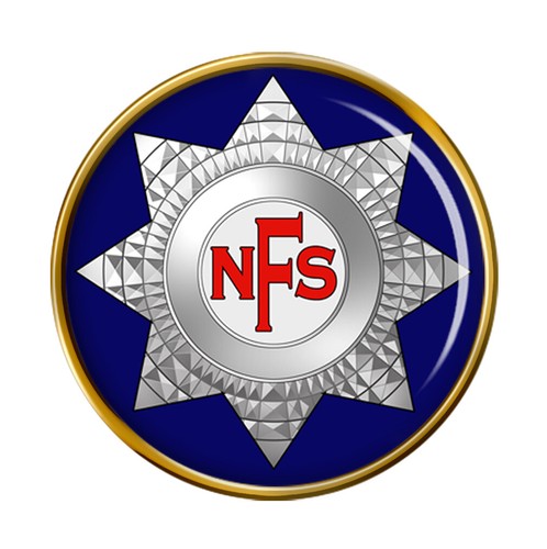 National fire service pin - fire,