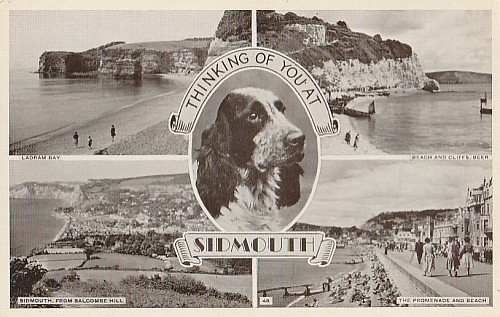 Devon sidmouth multi view - devon.,