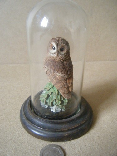 Vintage country artists tawny - vintage,