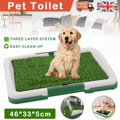 Pet dog toilet - dog, mat