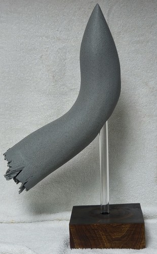 Prehistoric rhino horn - prehistoric,