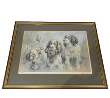 Andrew Haslen Signed Art Print Gun Dog Spaniel Limited Edition Large Framed 1984