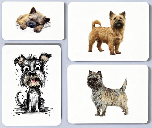 Cairn terrier picture - terrier,