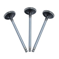 Intake valve for citroen - for,