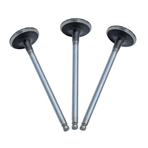 Intake valve for - 3x,