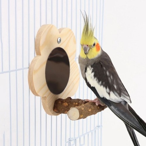 Bird mirror with perch hanging - with,