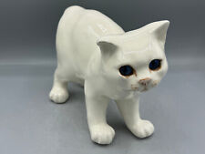 New Winstanley White Manx Cat