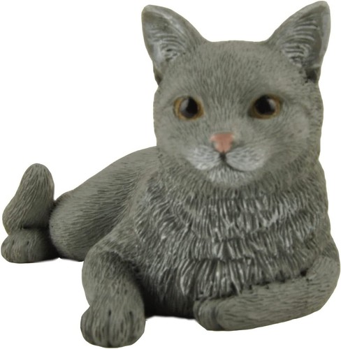 Inch grey cat - inch, posing