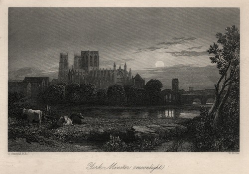 England york minster - york,