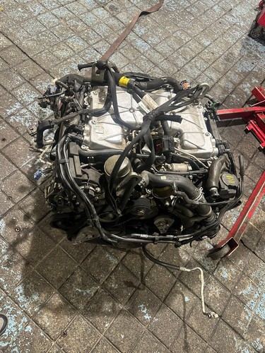 Velar pace type - velar, range